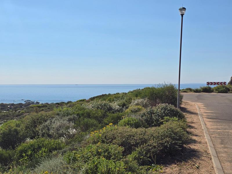 0 Bedroom Property for Sale in Steenbergs Cove Western Cape